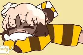 i'm a bear视频封面