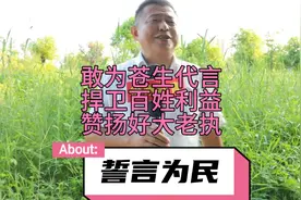 赞扬一心一意为百姓服务的好大老执，敢为苍生代言，捍卫群众利益视频封面