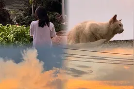 幼师辞职后，允许自己阶段性放松。毕竟在上班的时候每天神经紧绷视频封面