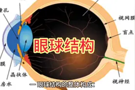 人体的眼球结构视频封面