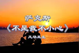 萨克斯《不是我不小心》旋律哀愁、遗憾、又温柔，请您欣赏。视频封面