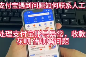 .（支付宝开通商家功能/问题）直接咨询支付宝人工电话服务视频封面