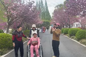 江苏淮安周恩来爷爷家乡樱花大道视频封面