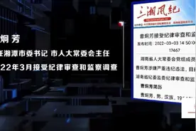 #头条热门视频分享＃打虎拍蝇纪实:湘潭市负债惊人的“面子工程”视频封面