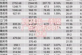 2024年一季度广东各市GDP增长（五）：东莞增长迅猛，广州放缓。视频封面