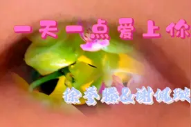 听歌赏花，放松心情，一天一点爱上你，徐誉滕谢佩璇，精品兰花视频封面