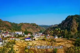 “性交易”竟然出现在钓鱼场，钓鱼场为何变淫窝，陪钓加特殊服务视频封面