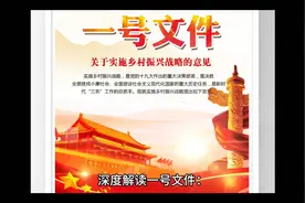 解读一下一号文件关于宅基地的问题视频封面