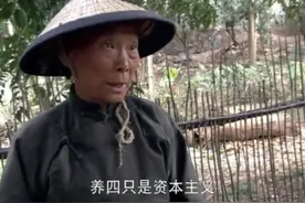 历史转折：大妈养鸭子被发现，立马跪下道歉，不敢当资本主义视频封面