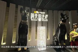 上海埃及国家顶级文物展 全网珍贵且唯一视频封面