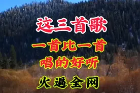 这三首歌一首比一首唱的好听，火遍全网的，百听不厌视频封面