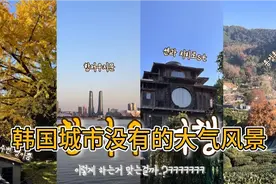 韩国美女，中国杭州实在太美了，连马路都是干净的！视频封面