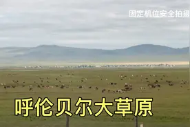 自驾5000多公里来到，呼伦贝尔大草原，和你想象的一样吗？看看吧视频封面