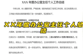 年度办公室主任个人总结视频封面