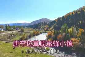 唐布拉草原蜜蜂小镇 (2023.10.4日拍摄)视频封面