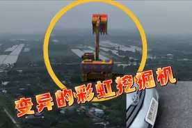 村里出现了变异的彩虹挖掘机，直接挥动着大铲子肆意的搞破坏视频封面