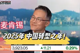 麦肯锡：2025年是中国转型之年（字幕纯享版）视频封面