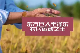 农民运动之王—东方巨人毛泽东视频封面