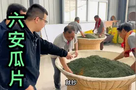 茶叶就是外行看热闹，内行看门道，今天就说说“六安瓜片”视频封面