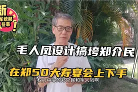 黑吃黑？毛人凤用什么阴招儿打败了郑介民视频封面