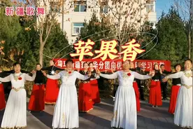 新疆歌舞《苹果香》，惊艳上演美轮美奂，浓浓的异域风情！视频封面