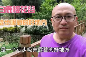 徒步、吸氧好地方，彭州白鹿樱花谷。@中国彭州市视频封面