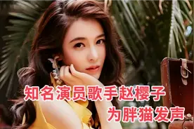 知名演员歌手赵樱子：为胖猫发声视频封面