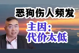 恶狗伤人事件频发，主因：代价太低视频封面