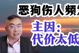恶狗伤人事件频发，主因：代价太低视频封面