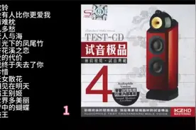 🎶试音极品！4款高音质音箱，音质试听大挑战！🎧高保真试音视频封面