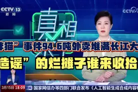 “胖猫”事件94.6吨外卖堆满长江大桥！视频封面
