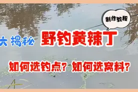 野钓黄辣丁，如何选好钓点是关键、如何成功选窝料？一看就会视频封面