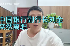 中国银行副行长刘金突然离职，反常必有妖视频封面
