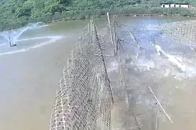 捕鱼精彩时刻视频封面