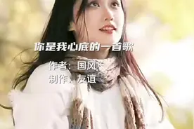 你是我心底的一首歌视频封面