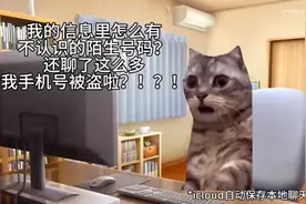 猫meme视频封面