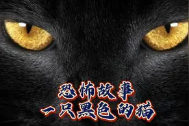 #一只黑色的猫#恐怖故事#胆小误入视频封面