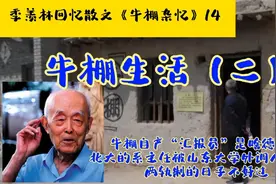 牛棚高知竟能培养出若干“汇报员”，北大的系主任被山大人殴，乱视频封面