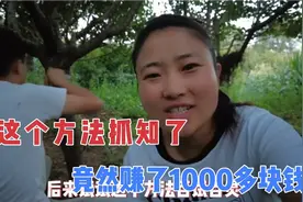 全家出动捉知了，用了这个方法，一晚上100多只，实在是太过瘾了