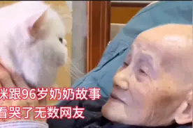 96岁奶奶临终前含泪跟陪伴自己八年的猫咪告别，看哭无数网友视频封面