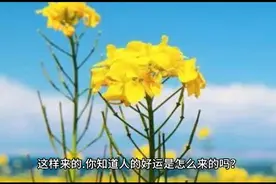 百分之九十二的人不知道，好运是这样来的。视频封面