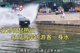 SUV过水路丝毫不减速，溅岸边游客一身水，对于这种司机该怎么办视频封面