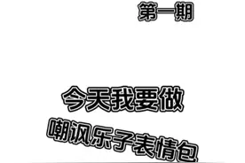 嘲讽乐子表情包视频封面