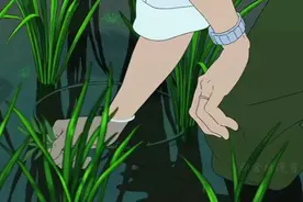 宫崎骏的治愈人生：一半烟火以谋生，一半诗意以暖心视频封面