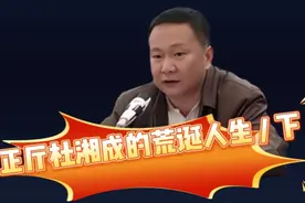 正厅杜湘成的荒诞人生/下视频封面