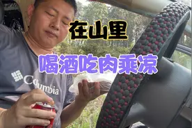 流浪汉以车为家在山里找个阴凉处躺平，在镇上买了凉菜烤鸭喝酒视频封面