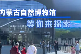 内蒙古自然博物馆它是知识的殿堂，等着你去揭开那无尽的奥秘。视频封面