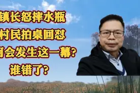 镇长怒摔水瓶，村民拍桌回怼！缘何会发生这一幕？谁错了？视频封面