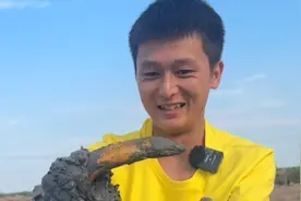 在淤泥里面抓鳝鱼、技巧很重要。视频封面
