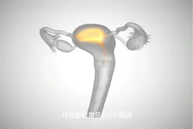 月经推迟的常见5个原因视频封面